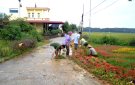 Thôn 1 xã Vân Sơn với phong trào " Trồng hoa thay cỏ dại"